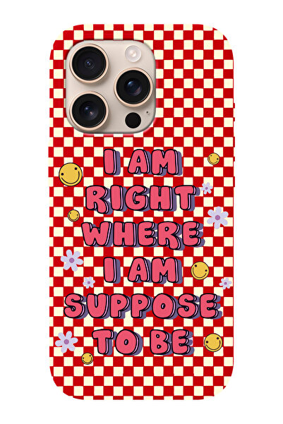 shoptocase iPhone 16 PRO Uyumlu Suppose Desenli İçi Süet Silikon Telefon Kılıfı