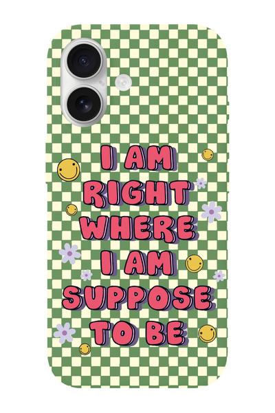 shoptocase iPhone 16 Uyumlu Suppose Desenli İçi Süet Silikon Telefon Kılıfı