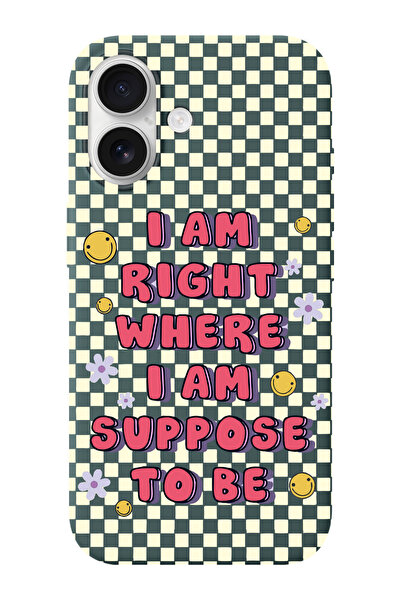 shoptocase iPhone 16 Uyumlu Suppose Desenli İçi Süet Silikon Telefon Kılıfı