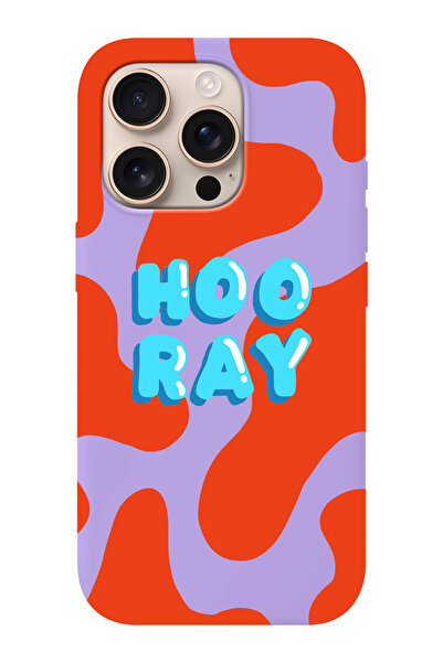 shoptocase iPhone 16 PRO Uyumlu Hooray Desenli İçi Süet Silikon Telefon Kılıfı