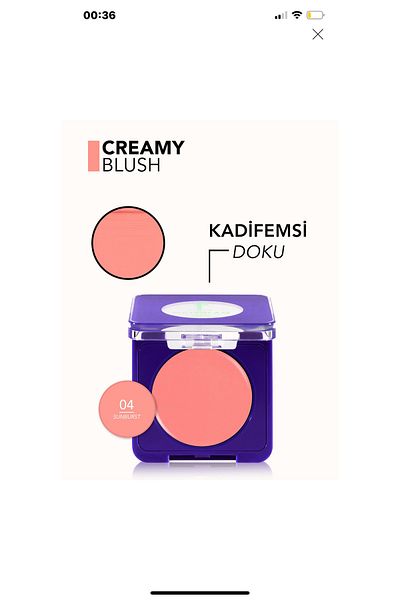 Flormar Metaglam 004 Sunburst Blush