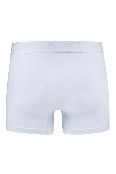Efsi White Cotton Lycra Efsi Regular Boxer - 3019