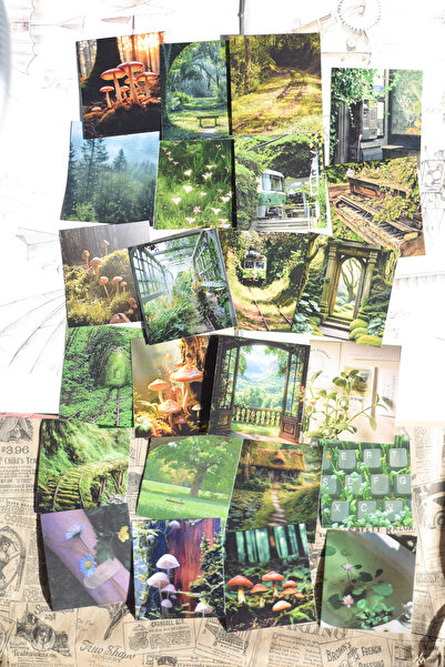 sticker Forest Aesthetic Sticker 24 adet (4.5 x 6 cm) Scrapbook, Journal