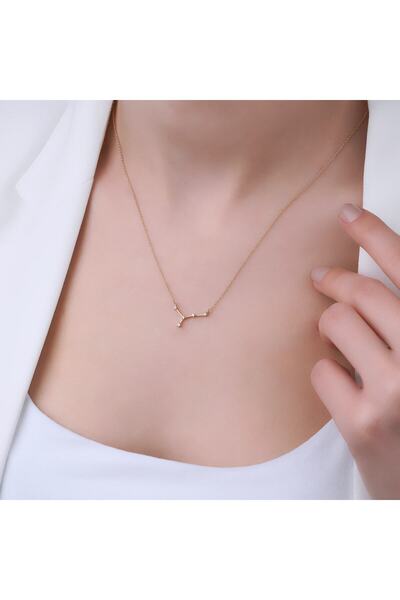 Abries Jewellery 14 Ayar Pırlanta Altın Yengeç Burcu Kolye Burç Koleksiyonu C...