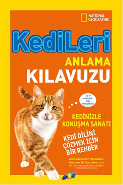 TOYFEST Guide to Understanding Cats for Kids