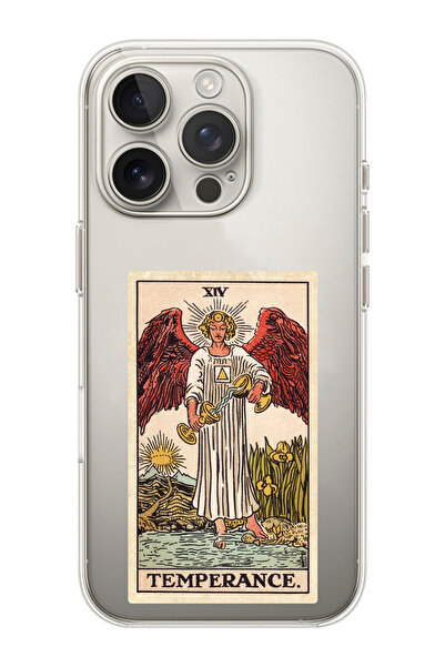 shoptocase iPhone 16 PRO Uyumlu Temperance Desenli Şeffaf Silikon Telefon Kılıfı