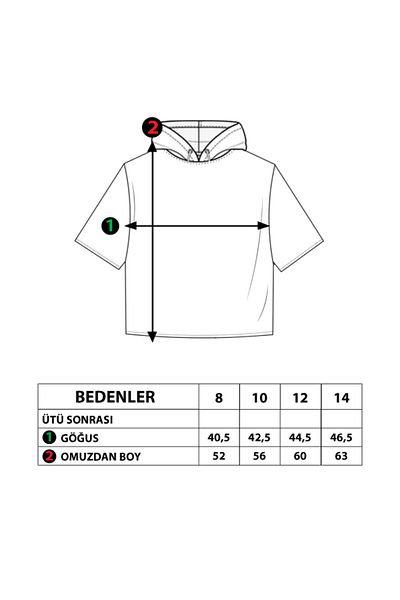 Toontoy Boy's Printed Hooded T-Shirt