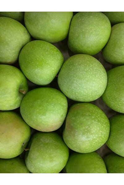 Green Yeşil ekşi elma