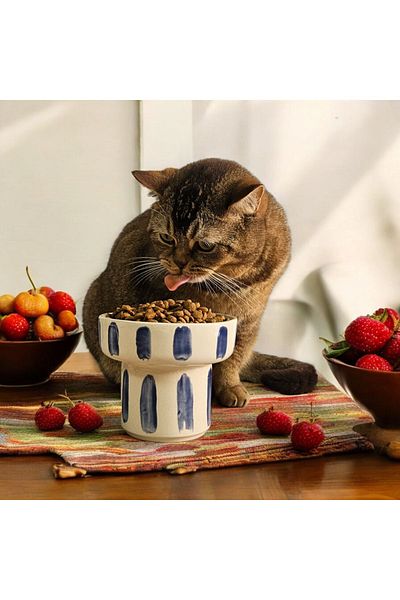 Soli Seramik High Ceramic Handmade Food and Water Bowl for Cats and Dogs (Dark White)