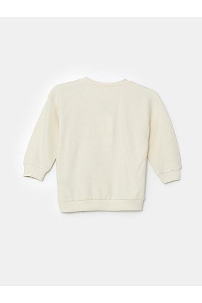 LC Waikiki Crew Neck Basic Baby Boy Sweatshirt