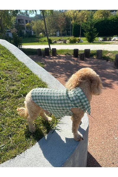 SayPuppy Small Breed Seasonal Green Muslin Dog Shirt