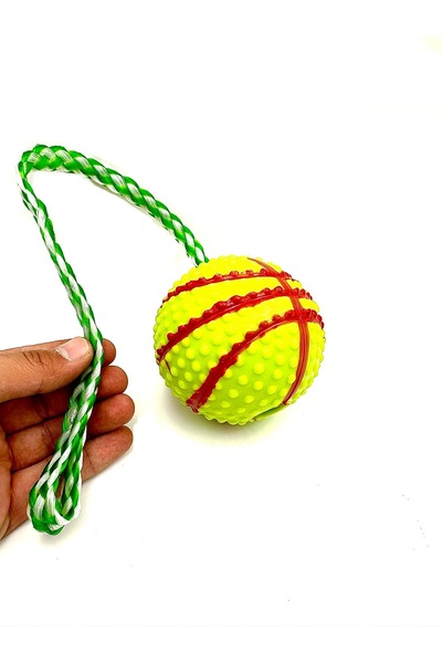 Tasma Market Basketbol Topu Modelli Zilli İpli Köpek Eğitim Topu Oyuncağı