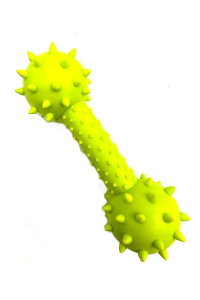 Tasma Market Dumbell Dog Training Toy with Anti-Teeth Scratching and Tartar Bells