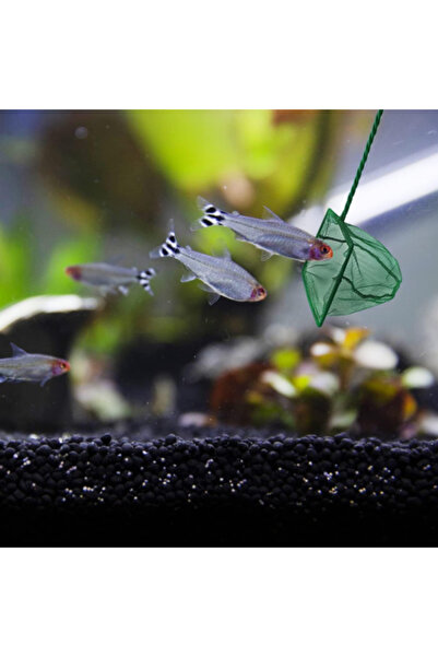 Marsilyan Aquarium Fish Scoop 12 Cm. Ilkelgrp-Et445