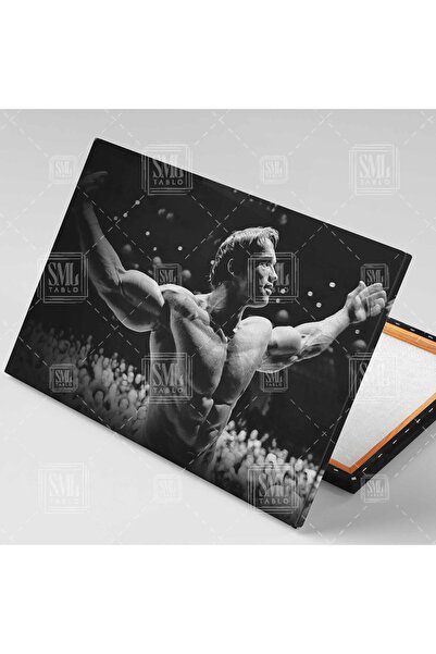SML TABLO Arnold Schwarzenegger Mr Olympia Poster Fitness Spor Salon Motivasyon Boks Ringi Yatay Kanvas Tablo