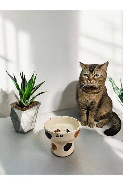Soli Seramik High Ceramic Food or Water Bowl for Cats and Dogs Non-Spill Food Container (Handmade)