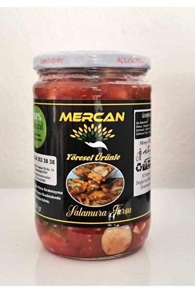 MERCANYORESEL %100 Doğal Hatay Usulü Salamura Turşu