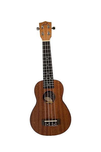 Puka tenor ukulele 2025