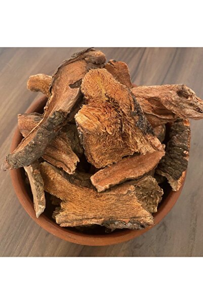 aleyna baharat Işkın Kökü 50 gr Içkın Uçkun Kökü Yayla Muzu Işgın