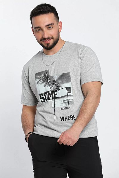 MİSHAR İTALİA Ανδρικό μπλουζάκι με γκρι λαιμόκοψη California printed