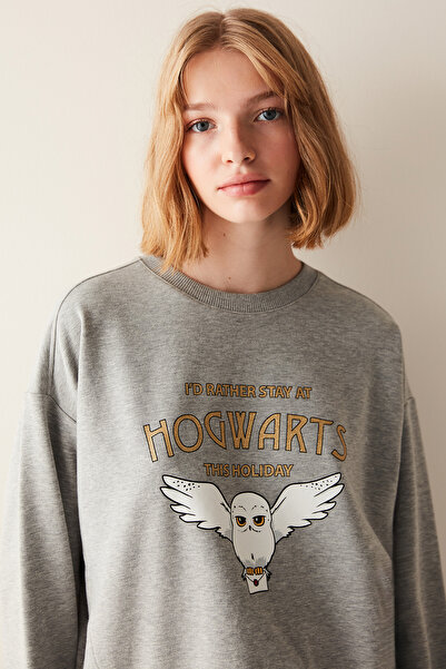 Penti Hogwarts Gray Sweatshirt- Harry Potter Collection