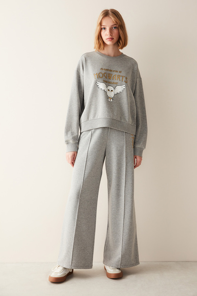 Penti Hogwarts Gray Sweatshirt- Harry Potter Collection