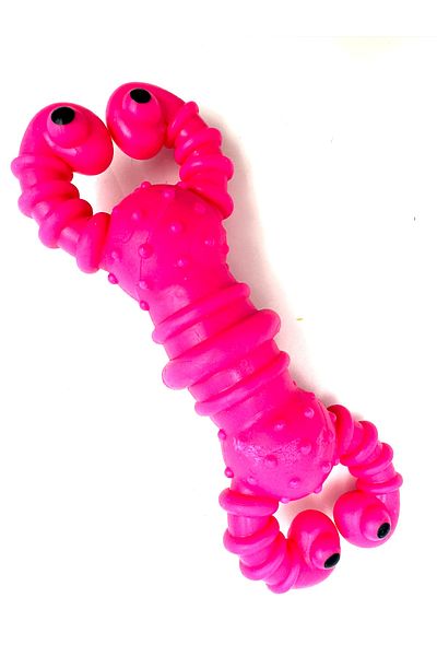 Tasma Market 12cm Lobster Teeth Scratching - Tartar Removal Dog Toy