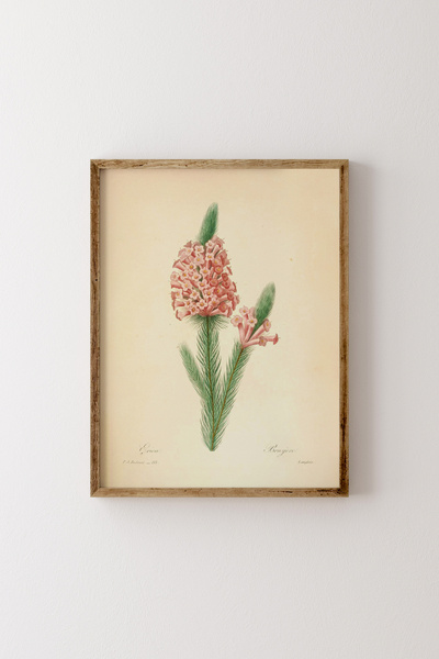 epiqart Erica - Wooden Frame