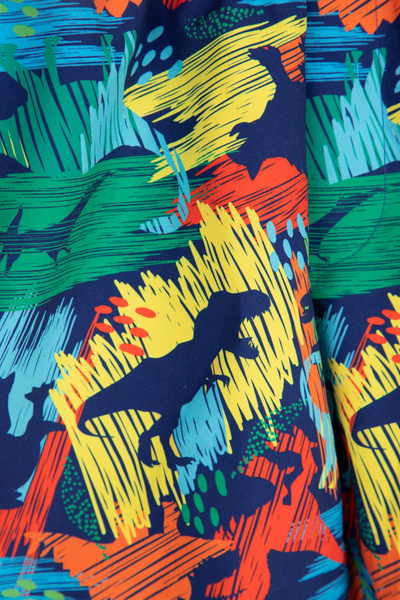 Penti Erkek Çocuk Paint Dino Mayo