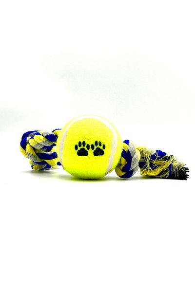 Tasma Market 30cm Dental String Training Ball Dog Toy