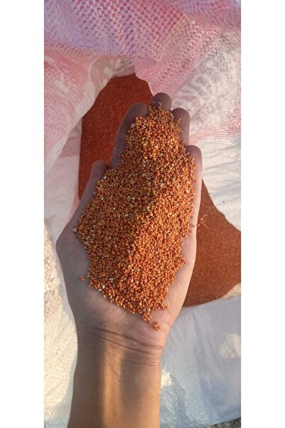 shop Elenmiş %100 Doğal Kızıl Dal Darı(YENİ MAHSUL) 500gram