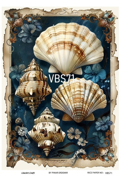 LİNEART Navy Blue Seashell Patterned Vbs71 - 29X42Cm Brass Decopage Paper