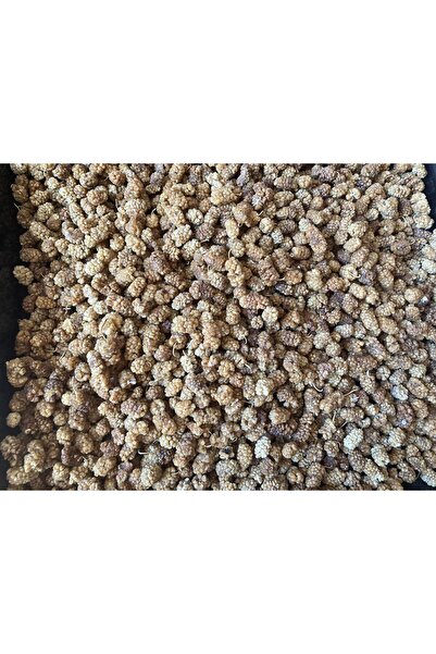 Baş Değirmenler Izmir Torbalı Doğal Beyaz Dut Kurusu 250 gr (Sezon 2024-25)