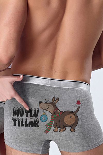modacix New Year Boxer with Dog Cartoon