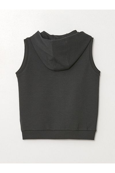 LC Waikiki Lcwk Hooded Boy's Vest