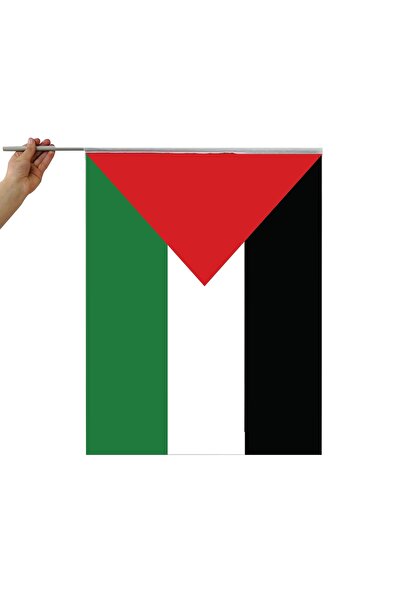 Sinafilamax (10 adet ) 50x70 Cm Filistin Pikment Raşel  Kumaş