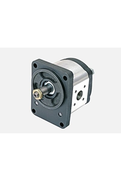 Merbok G2DC11T2NN Hidrolik Dişli Pompa 11.cc