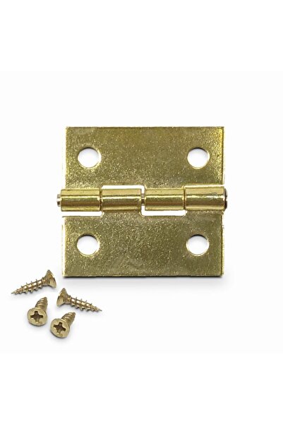 Genel Markalar Kutu Ve Tavla Menteşe No 1 Sarı Altın 10 Adet (25X22MM) 40 Ade...