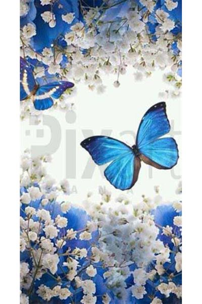 pixartsanat Blue Butterflies in White Flowers Pixart Art Diamond Mosaic Painting Diamond Turkey 45*82