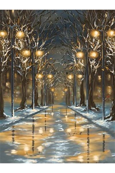 pixartsanat Walkway Pixart Art Diamond Mosaic Painting Diamond Türkiye 41*56