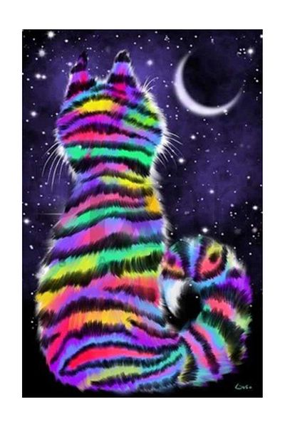 pixartsanat Night Cat Pixart Art Diamond Musical Painting Daimond Turkey 43*63