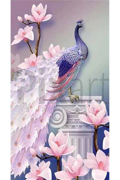 pixartsanat Beauties Peacock Pixart Art Diamond Mosaic Painting Daimond Turkey 42*67
