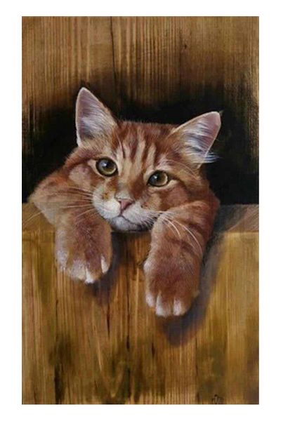 pixartsanat Player Cat Pixart Art Diamond Mosic Painting Daimond Türkiye 32*52