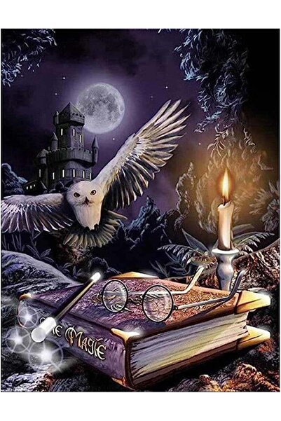 pixartsanat Baykuş Gözlük 30x40cm PixArt Sanat Elmas Mozaik Tablo Diamond Tür...