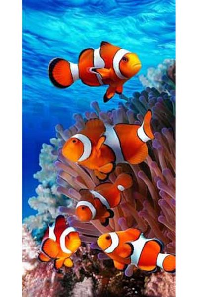 pixartsanat Living Underwater Pixart Art Diamond Mosaic Painting Diamond Türkiye 37*69