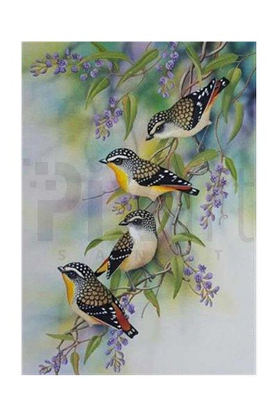 pixartsanat Juniper Birds Pixart Art Diamond Mosaic Painting Diamond Turkey 60*63