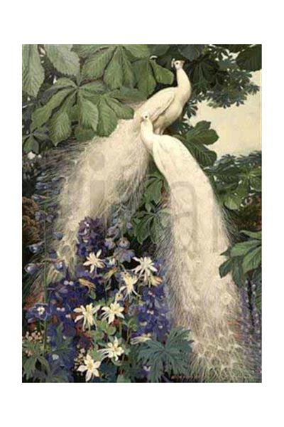 pixartsanat White Peacocks And Flowers Pixart Art Diamond Mosic Painting Daimond Turkey 50*71