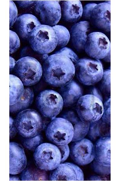 pixartsanat Blueberries Pixart Art Diamond Mosaic Painting Diamond Turkey 40*60