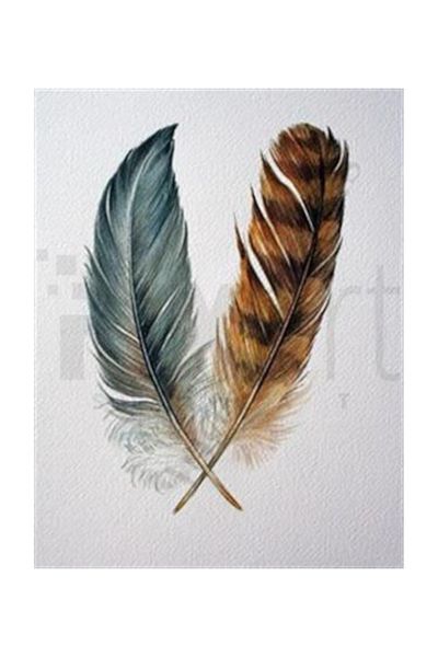 pixartsanat Feather Pattern Pixart Art Diamond Mosaic Painting Diamond Turkey 45*58