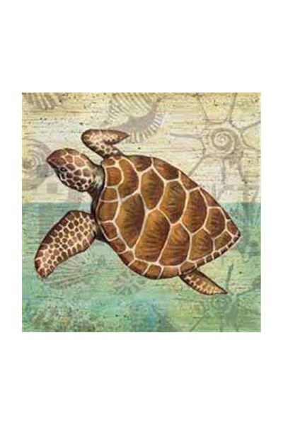 pixartsanat Brown Water Turtle Pixart Art Diamond Mosaic Painting Diamond Turkey 53*52